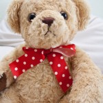Motive decorative pentru camera bebelu�ului