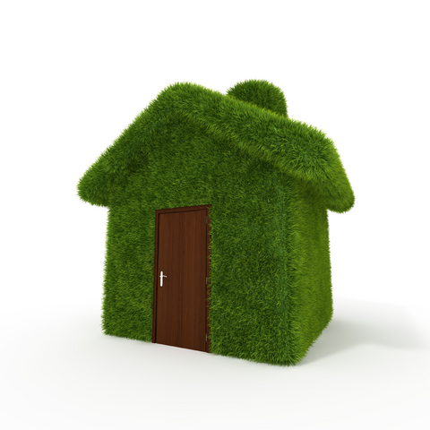 Cine spune că românii nu-s ecologişti? După o lună şi jumătate, cererile pentru Casa Verde depăşesc fondurile alocate
