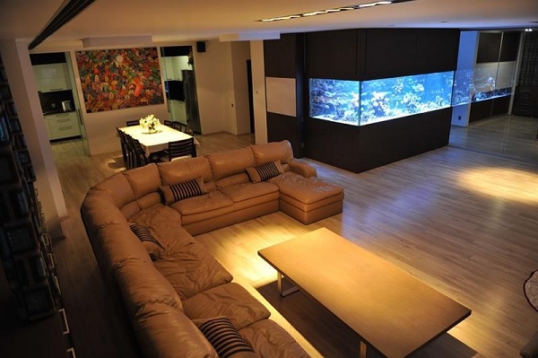 penthouse Vitan 11