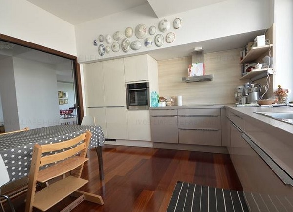 penthouse Parc Herastrau nou 5