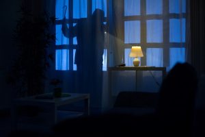 cum sa-ti pazesti casa de hoti