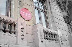 bulina rosie risc seismic