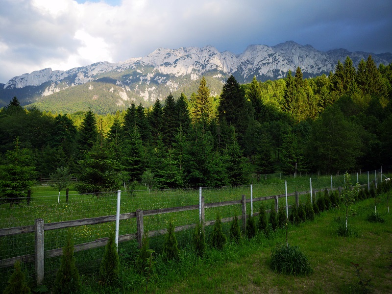 Românii tânjesc să locuiască cât mai aproape de natură: Brașovul și împrejurimile, în topul preferințelor. Sfaturi pentru cumpărători