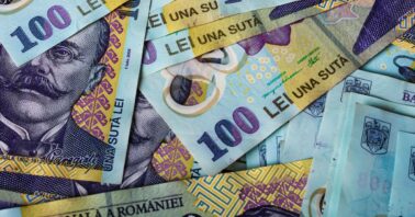 bancnote leu