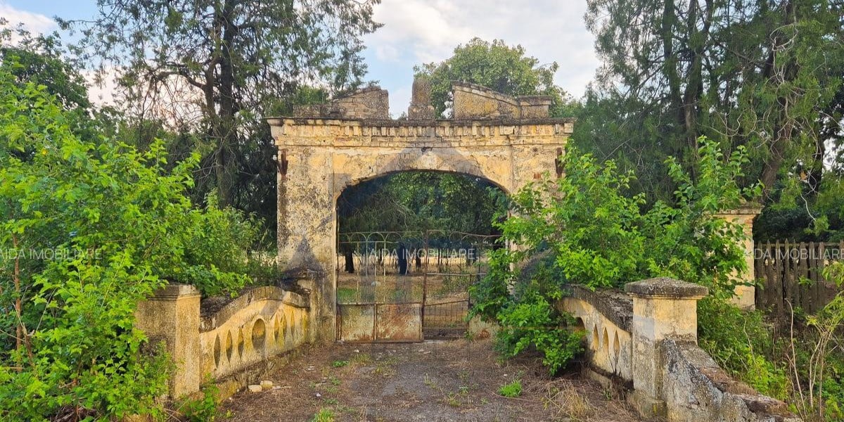 domeniul damaskin din judetul timis